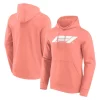 Sudadera Formula 1 - Varios colores